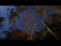 Beginning of video