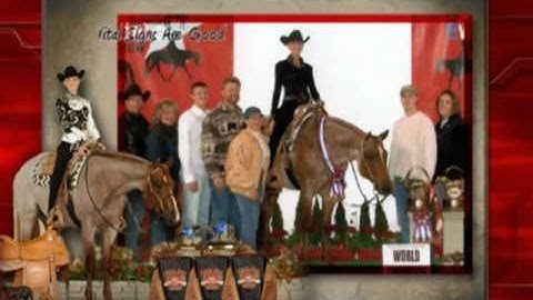 VS Code Red- AQHA Red Roan Stallion