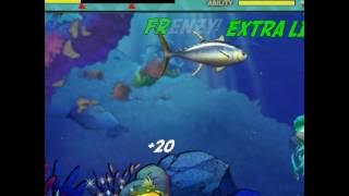 Feeding Frenzy Stage 25: Hey Slick!