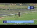 Lot 42 - UNNAMED - MASTER OF MY FATE x  RED GRANITE - 22 October 2023