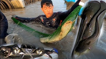 Lần Lược Từng Con Cá Ngát Khủng Được Hai Anh Em Đưa Lên Bờ Một Cách Dễ Dàng/Đat Nguyễn Cần Giờ