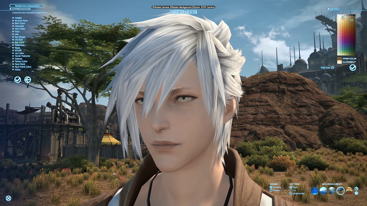 create a character in ffxiv, ffxiv character creation, options for char...