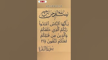 سورة البقرة💛 #اكسبلور #المصحف #duet #الرحمن #دويتو #الطحان #الله #تيك_توك #القزابري #لايك #fyp