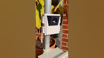 A mini version of my AI Wildlife Monitor! ##raspberrypi #ai #camera