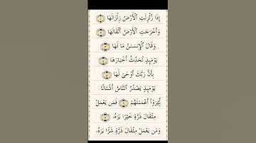 Quran reaction of the sura (زلزال) #egzonibrahimi #quran #zalzalah #سورة_الزلزلة