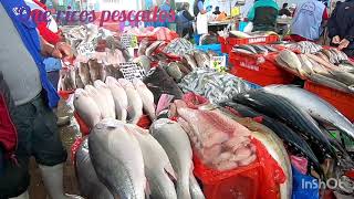 Un Millón De Pescados En Terminal Pesquero De Villa Maria Del Triunfo 2021 Lima - Perú