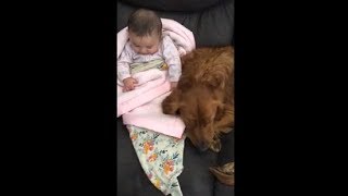 Baby Girl Holding Onto Her Dog Buddy