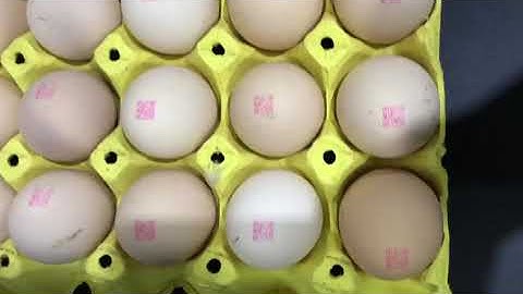 kx6g online inkjet printer egg factory printing solution,KX6G online inkjet printer 6 print heads