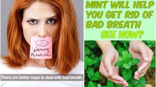 Effective Bad Breath Remedy - 100 % Working Mouth Smell Solution Resimi