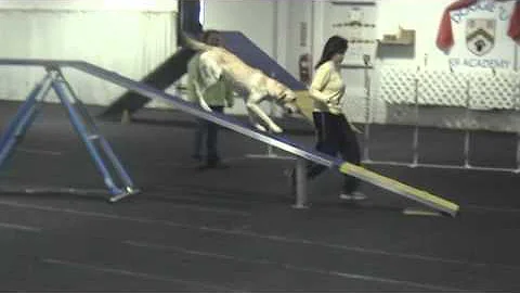 Jewels first standard run