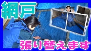 【 シマいリス DIY 】 2年振りくらいの 網戸 張り替え やってみました 【 シマいリス DIY 】 2年振りくらいの 網戸 張り替え やってみました