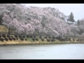 雨