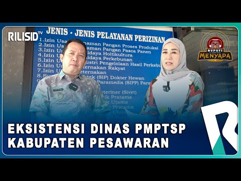 Eksistensi Dinas PMPTSP Kabupaten Pesawaran