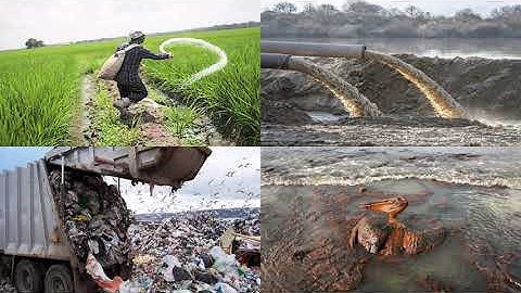 Standard 8: Lesson 8: Pollution: Part 1 of 3