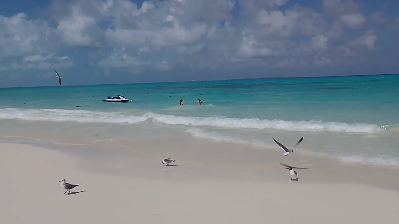 Playa Caracol sin sargazo y buen oleaje para pasar el día con la familia.