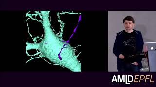 Large-Scale Synaptic Resolution Brain Mapping in Academia-Industry... | Michał Januszewski