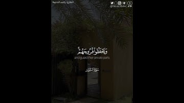 ﴿قُل لِلمُؤمِنينَ يَغُضّوا مِن أَبصارِهِم ..﴾ | القارئ: راشد الحليبة