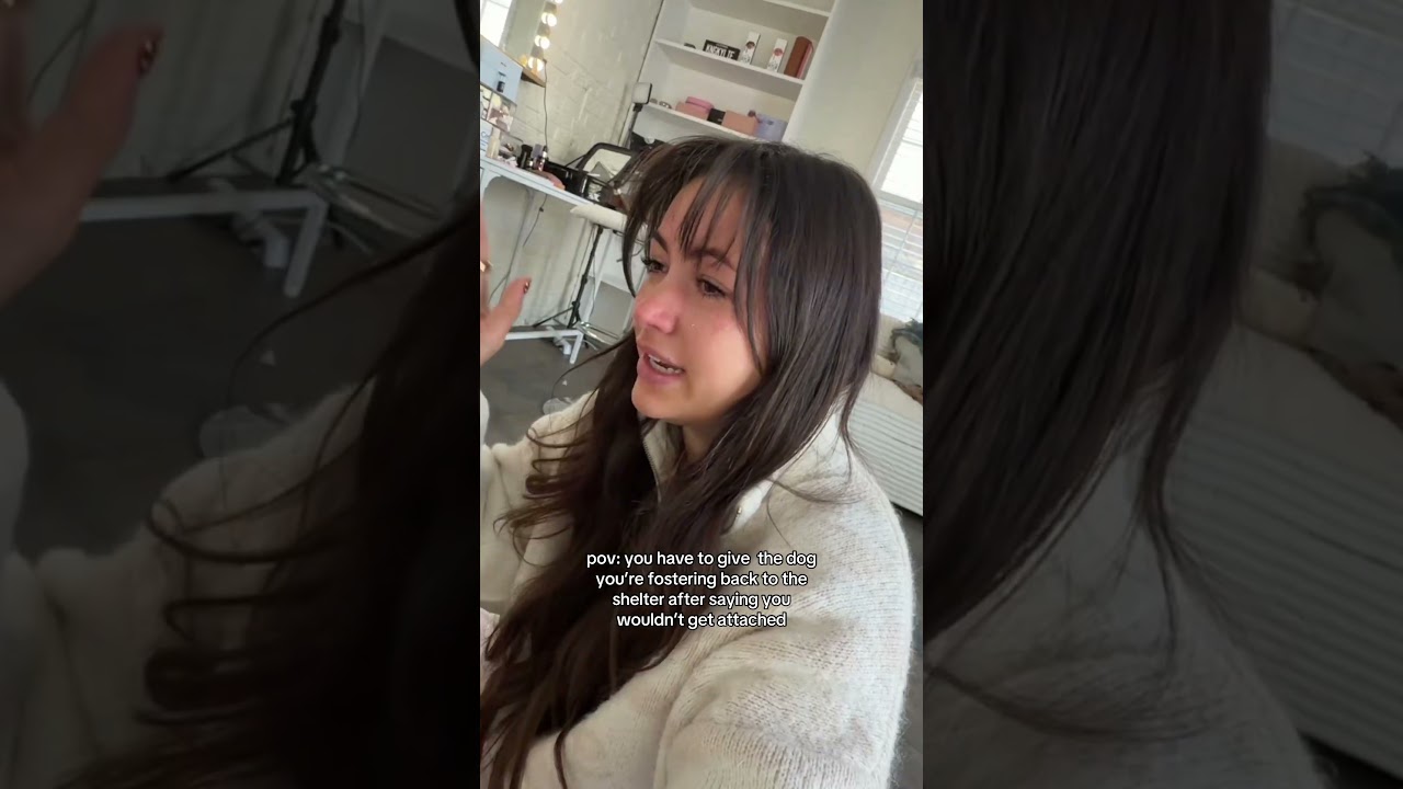 Вот почему я не могу брать собак на передержку, лол 