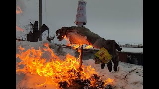 Масленица в гараже