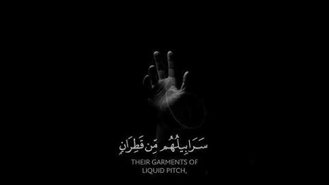 ما تيسر من سوره ابراهيم | للقارئ شريف مصطفى | حالات واتس اب♥♥.