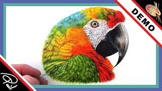 Watercolour Painting Tutorial How To Paint a Parrot