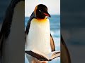 Penguin Finishes Self-Help Book… Last Page Blank | Nebula Shots