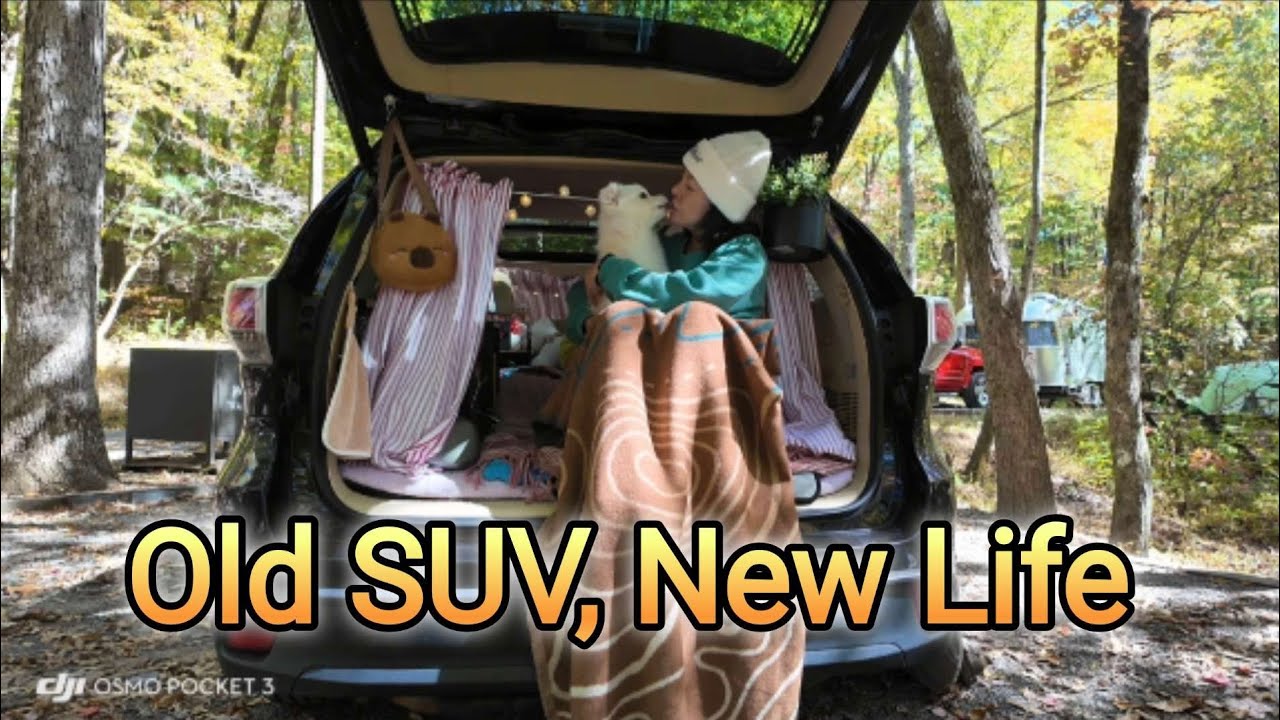 Old SUV, New Life | Peaceful Car Camping with Molly 🌲