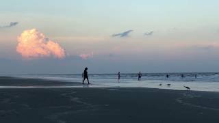 Hilton Head Island...Did you know? with Lisa Sisko Profile