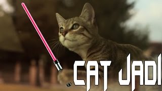 Кот Джедай | Cat jedi [Лучшее из Лучших]