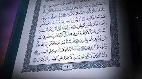 سورة المؤمنون تلاوة خاشعة     الشيخ صلاح بوخاطر