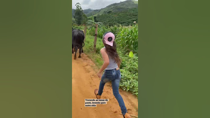 Boiadeira #boiadeira #cavalo