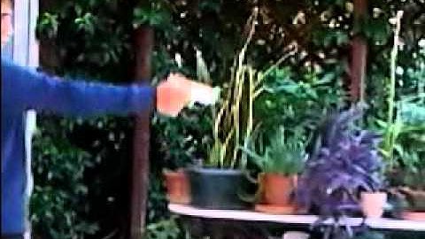 Muzzle flash test (After Effects) freddiew tutorial