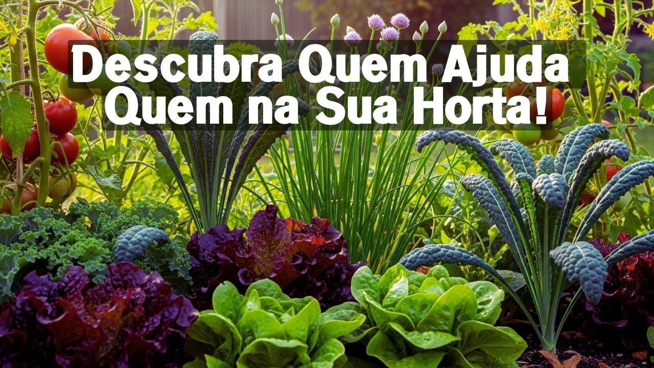 Plantas Companheiras: O Segredo da Horta Perfeita! Consórcio de plantas | Rotação de Culturas