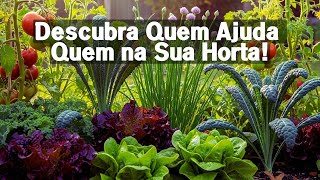 Plantas Companheiras O Segredo Da Horta Perfeita Consórcio De Plantas Rotação De Culturas
