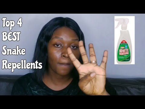 Top 4  Best Snake Repellents | Best Natural Snake Repellents | Think Natural