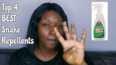 Top 4  Best Snake Repellents | Best Natural Snake Repellents | Think Natural