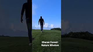 Sharan Forest- Manchi top. vlog will be uploaded soon.....#university #nature #naran #hunzavalley