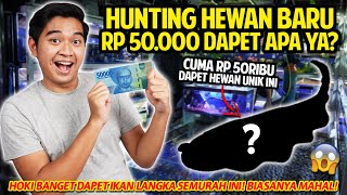 HUNTING HEWAN BARU BUDGETNYA RP 50.000 DOANG!! HOKI BANGET DAPET IKAN LANGKA INI! BIASANYA MAHAL!