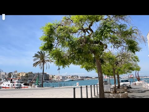 Welcome to Molfetta City Vlog Part 1 / South Italy/ទីក្រុង មល់ហ្វេតតា   #Molfettacity# #Seacity#