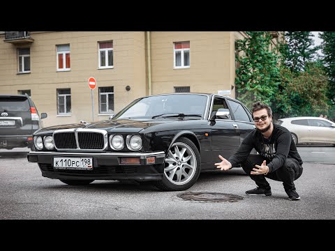 Нашли старую редкую кошку, но не дикую... Эксклюзивный Ягуар