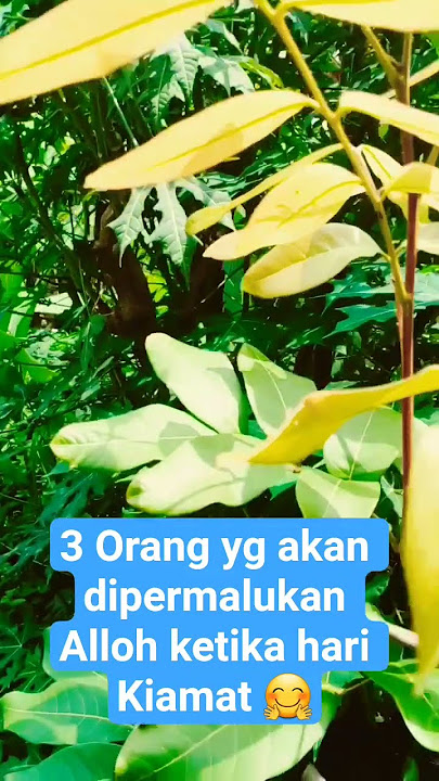 3 Orang yg dipermalukan Alloh Swt ketika hari kiamat #dakwahsampaiarwah #kisah #mistekumpulanhadits