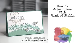 *HOW TO WATERCOLOUR* Wink of Stella Ink Watercolouring Technique