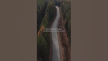 ¤...أَلَا إِنَّ نَصْرَ اللَّهِ قَرِيبٌ ¤ سورة البقرة-(214) القارئ وديع اليمني