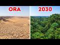 L'Africa sta costruendo un muro di 8.000 chilometri per fermare il Sahara