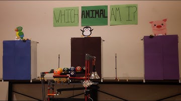 The Billiard Ball Sorting Machine (w/ ⁨@sirgabealot01⁩)