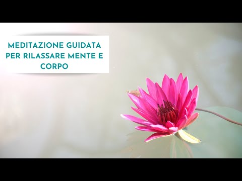 Video: Calma il corpo e la mente con la riflessologia prenatale