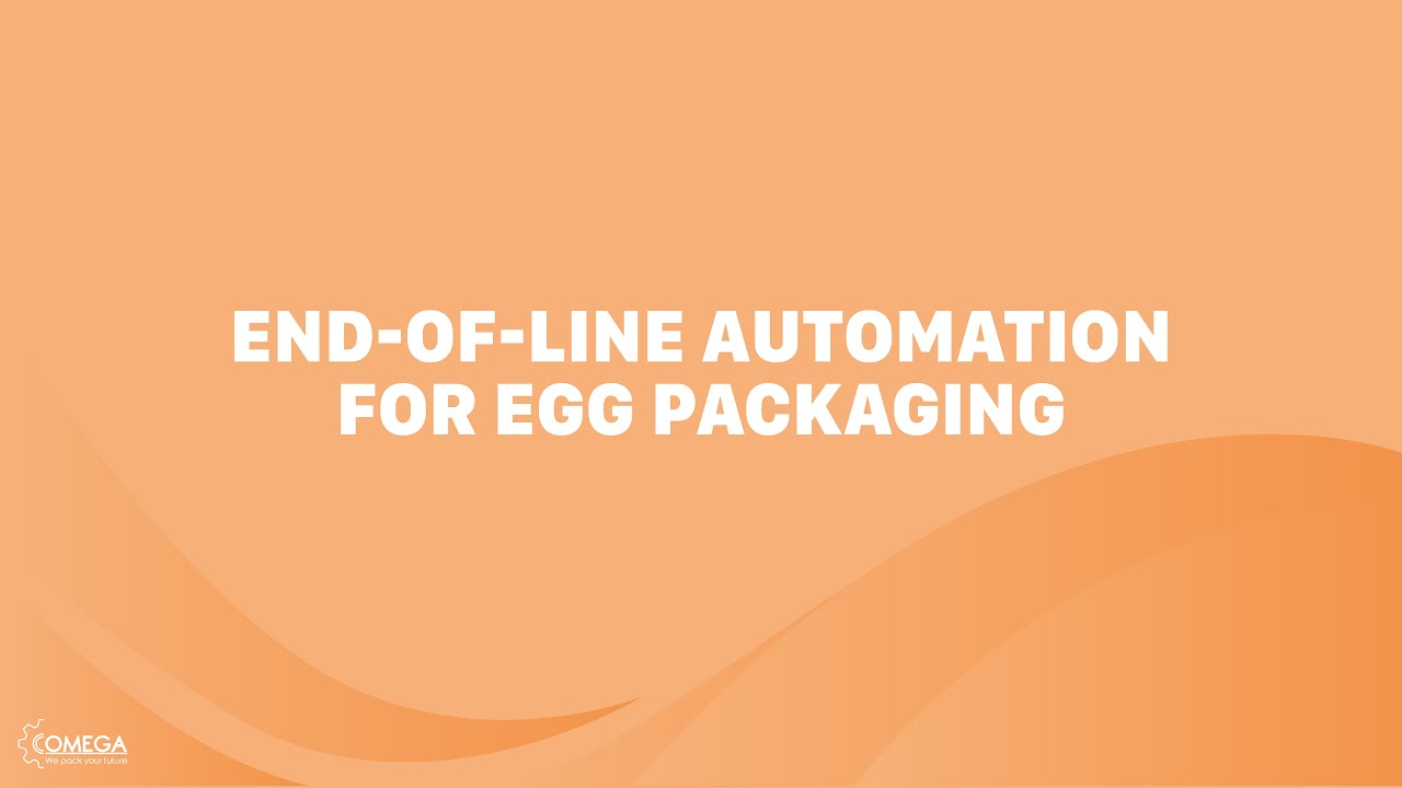 End-of-Line Automation for Egg Packaging