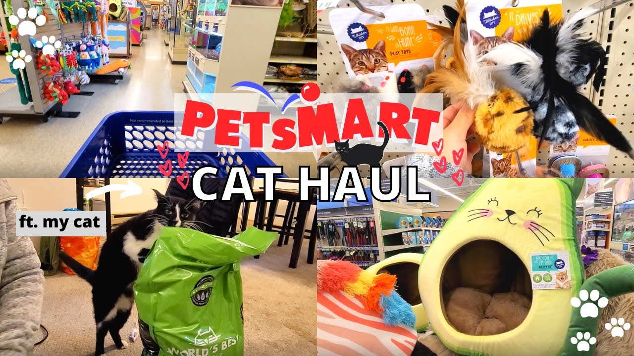 My Cats Monthly Petsmart Haul 2021  Shopping for cat supplies new treats  toys