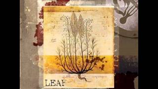 Leaf - Paperdress