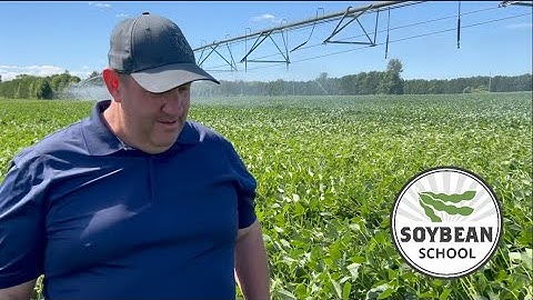 Soybean School: Chasing 100 bushel beans with pivot irrigation